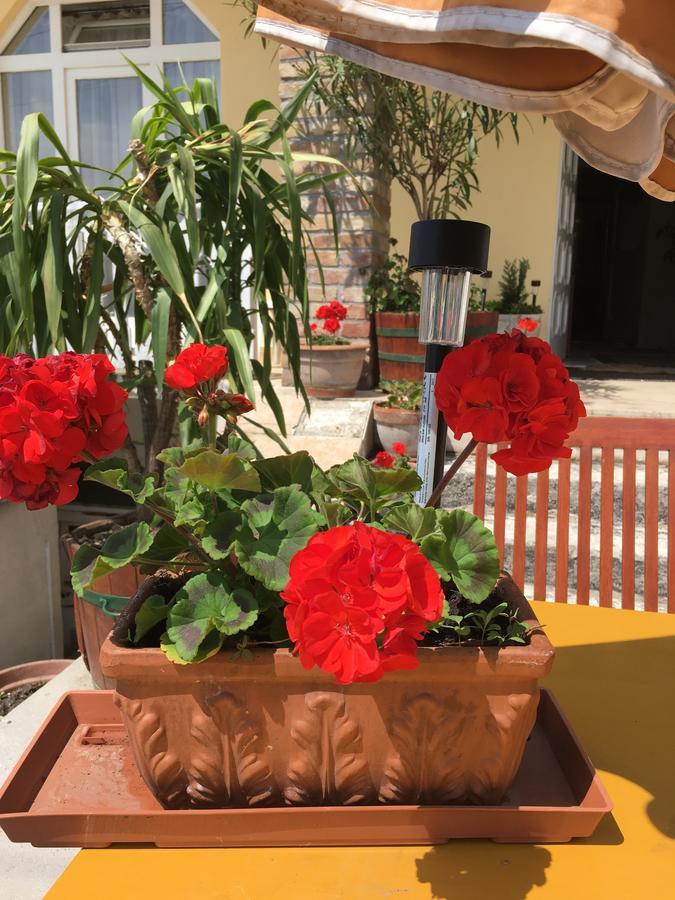 Eva Guest house *